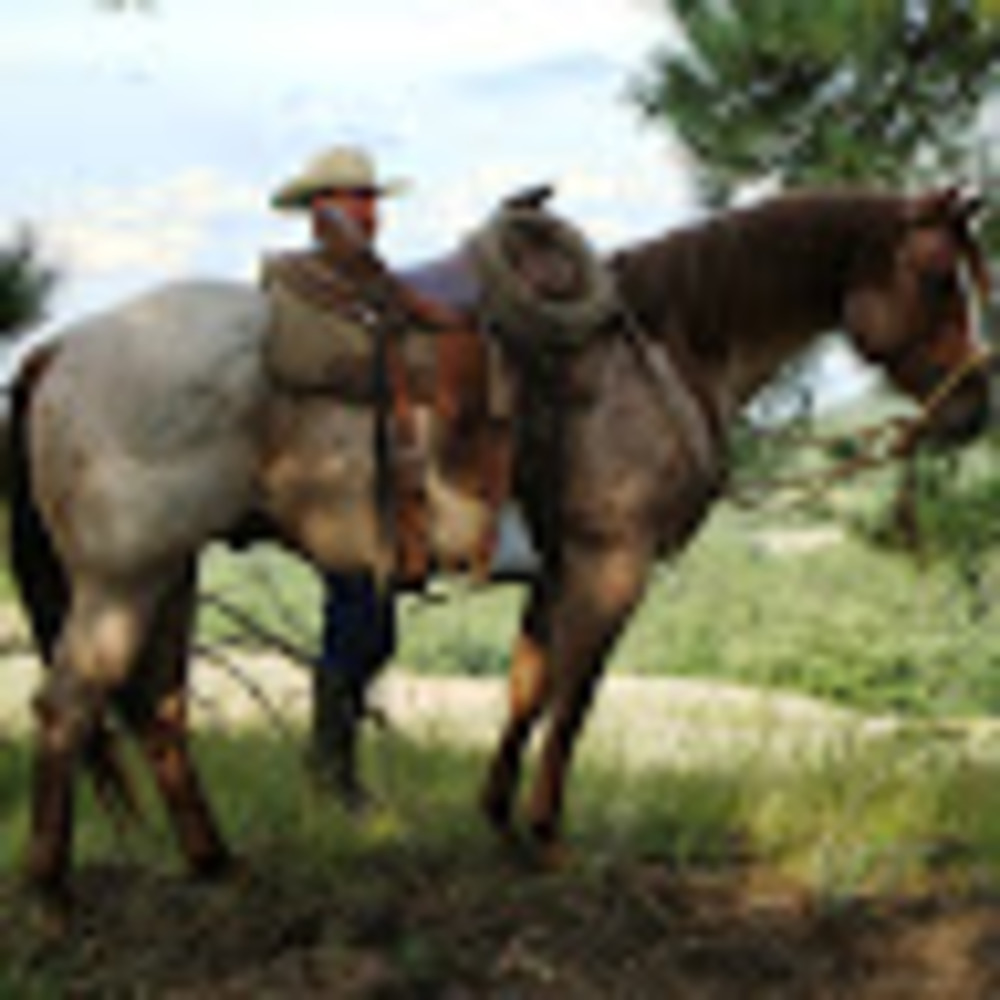 Meet your Posher, Keela